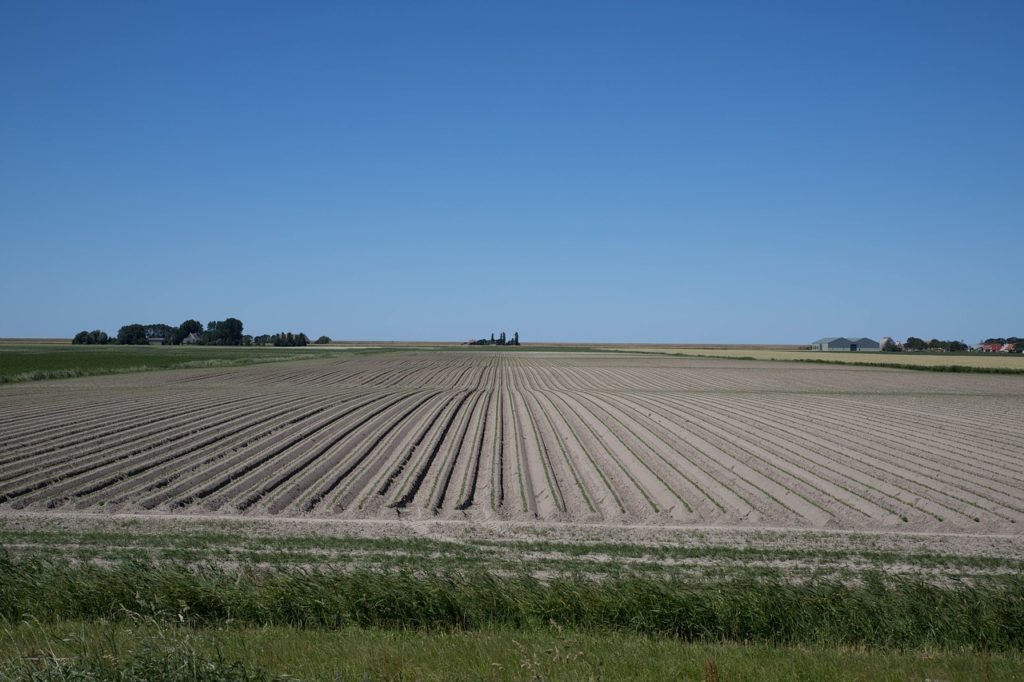La Venezuela agropecuaria, que al mundo deseo mostrar