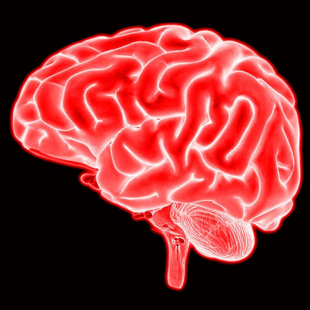 La neurociencia mejora el liderazgo