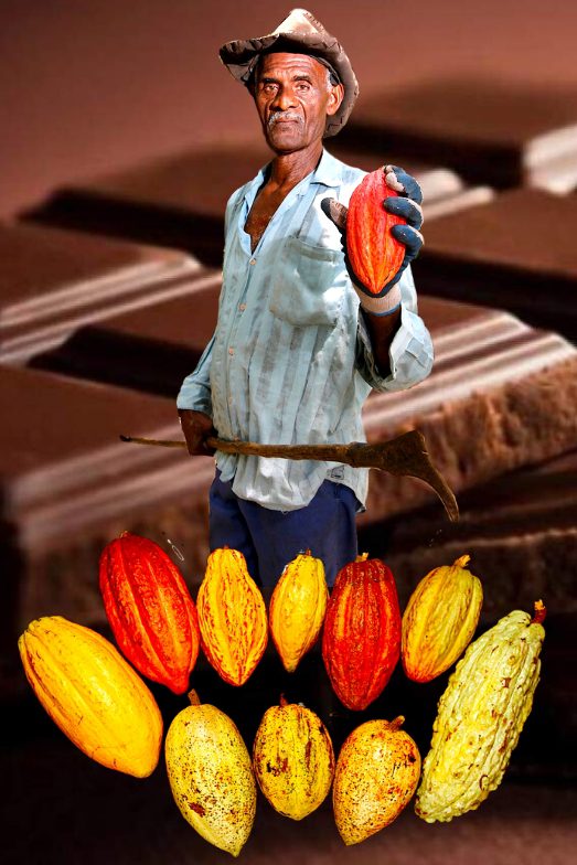 El “Cacao y su Entorno” un Valor Universal Excepcional