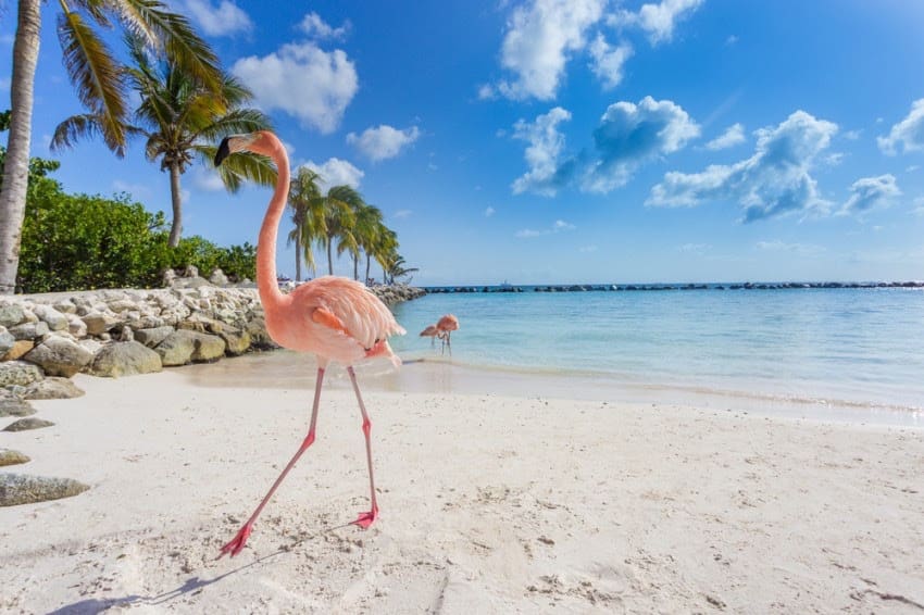 El sector de viajes y turismo contribuirá con más de 91 mil millones de dólares a la economía del Caribe durante 2024: WTTC