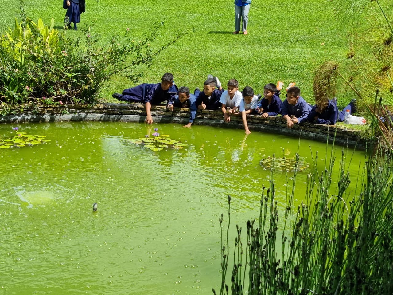 Topodesafio un proyecto que promueve la educación ambiental