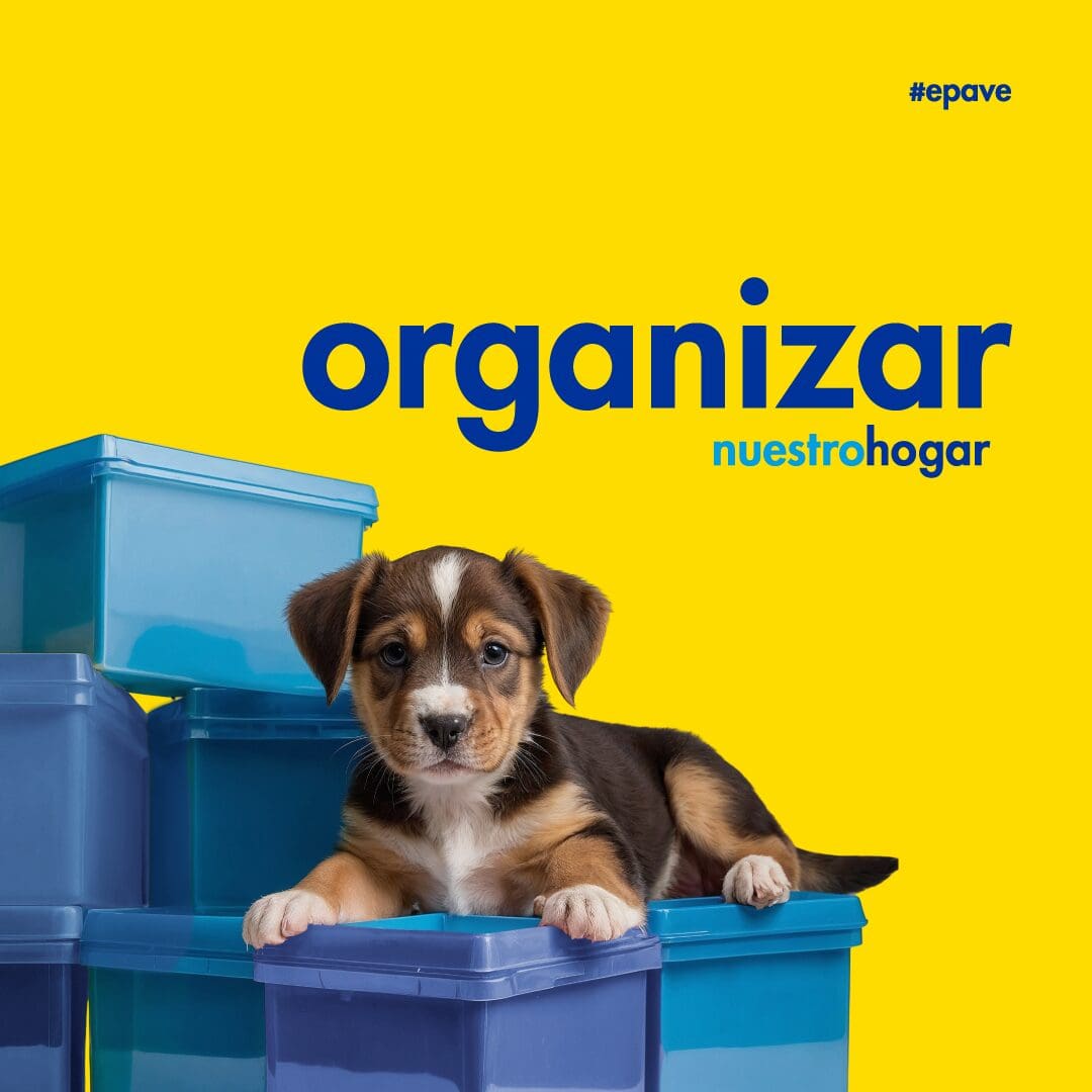 EPA realiza taller de organización. Ayudando a organizar hogares