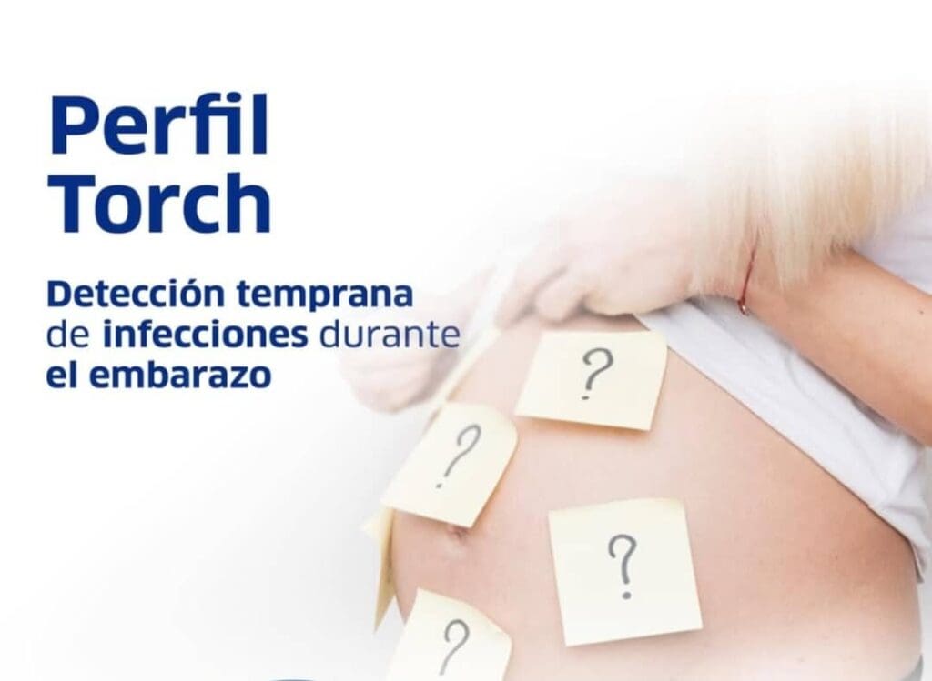 Perfil TORCH: El aliado preventivo que toda mujer debe realizarse antes de la concepción